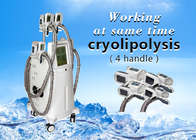 4 Handle Working Same Time Cryolipolysis slimming machine for fat reducing loss