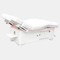 Electric Spa Massage Bed Beauty Table 1500W Backrest Adjustable
