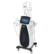 940nm Vacuum  Body Slimming Machine Infrared Laser Bipolar 40k Rf Cavitation