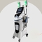 Arms Cryolipolysis Fat Freeze Slimming Machine 800W Ems Muscle Radio Frequency Weight Loss