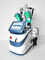 360 Degree Cryolipolysis Slimming Machine Non Invasive Portable Cryolipolysis Machine